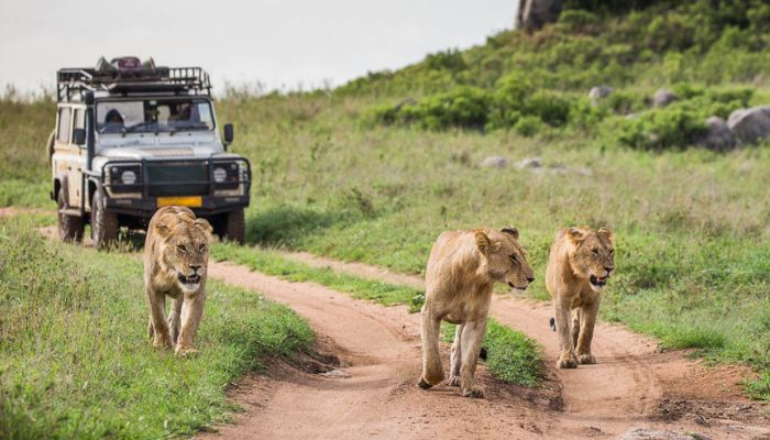 31 Days Self-Drive East Africa