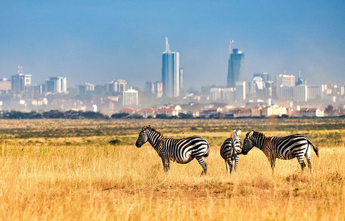 Kenya National Parks