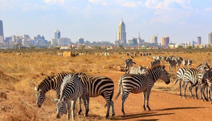 Kenya Travel Information