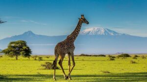 Mount Kilimanjaro