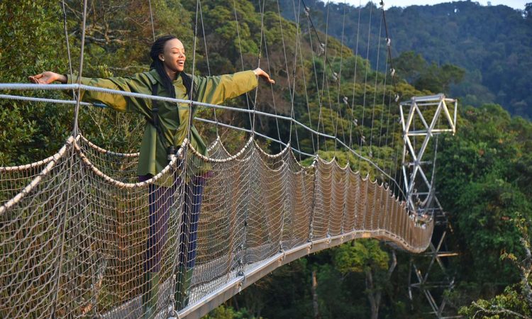 canopy walk