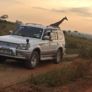 Self Drive Uganda East Africa