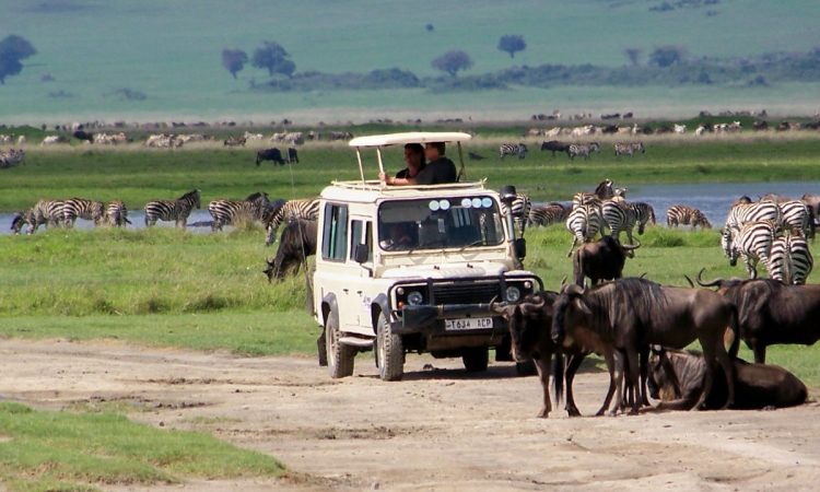 Tanzania Travel Information