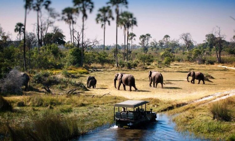 Tarangire National Park