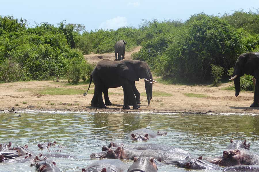 Uganda National Parks