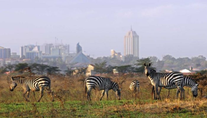 Things to do in Nairobi