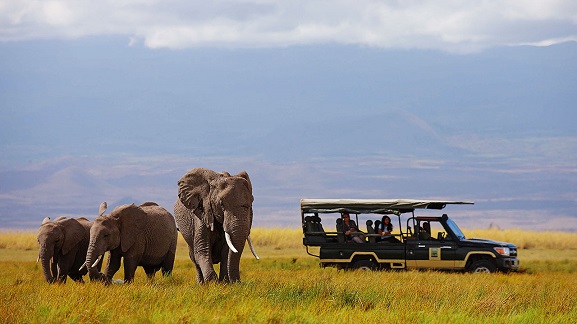 Game Drive Amboseli