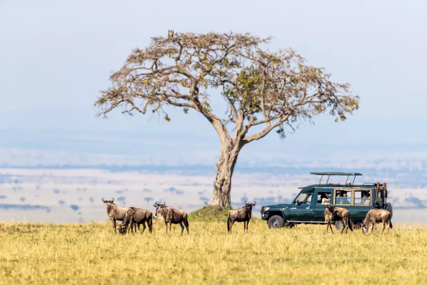 Maasai Mara National Reserve