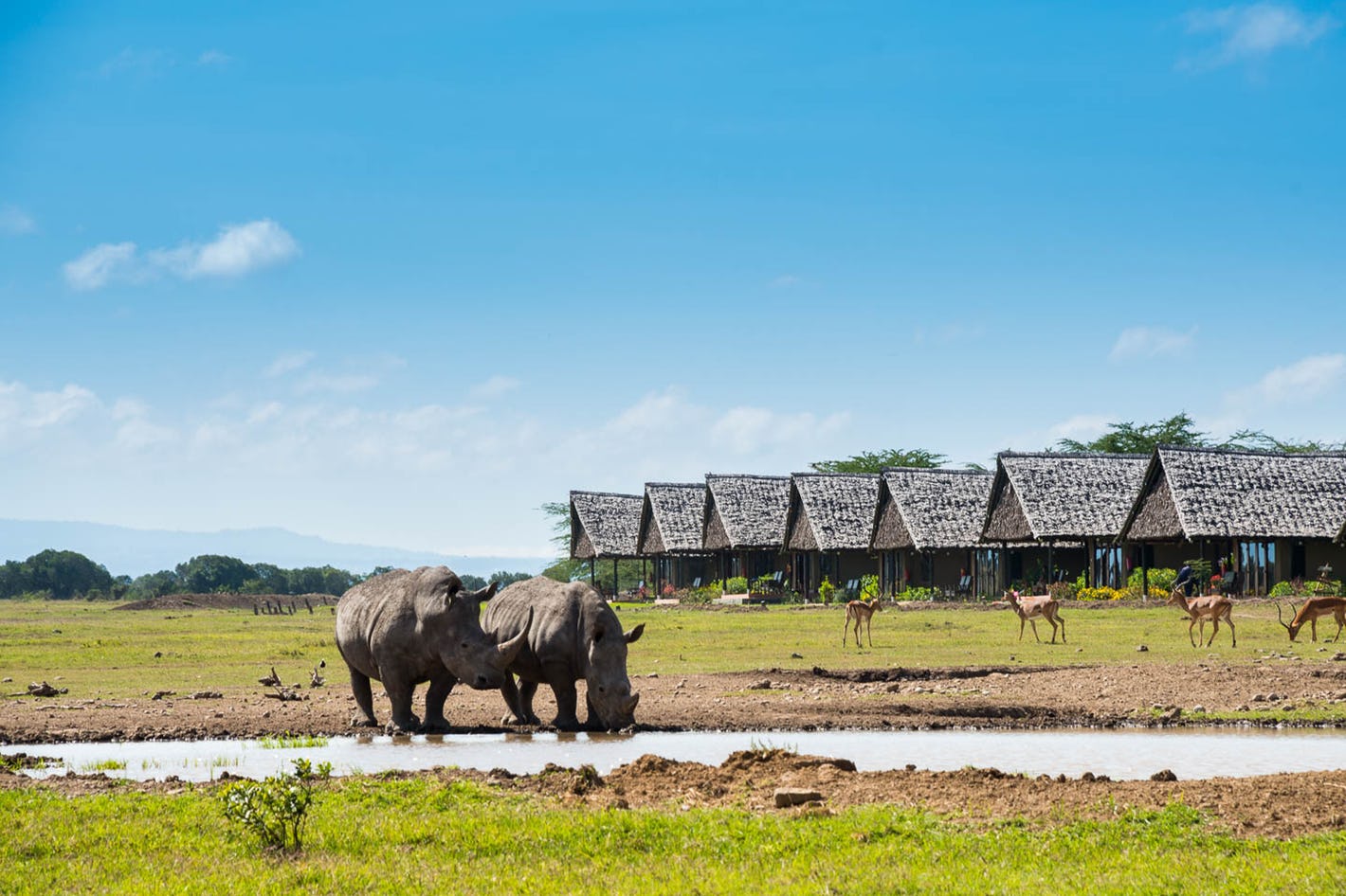 Ol Pejeta