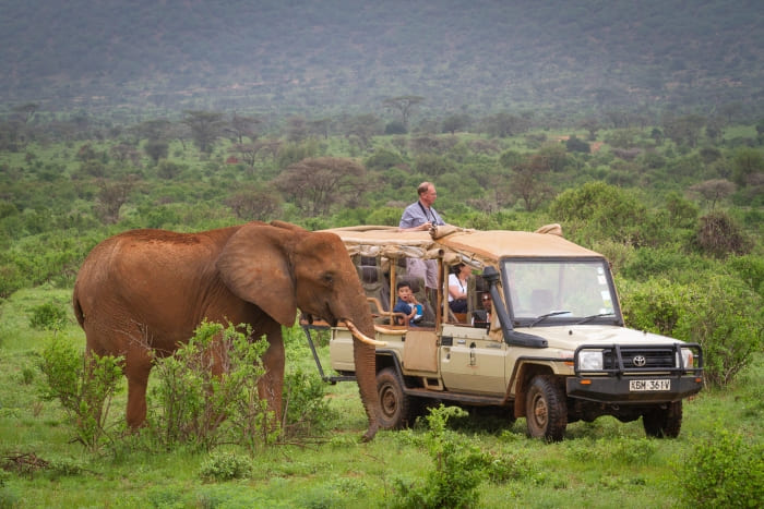 Samburu National Reserve Game drives