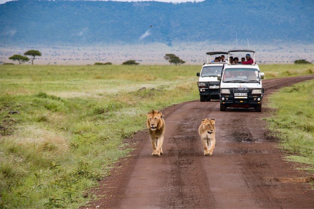 Top 5 Scenic Routes For A Kenyan Road Trip