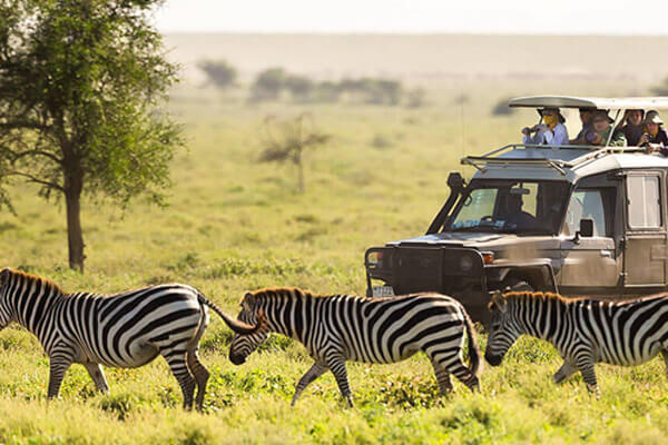 Tsavo East National Park Wildlife