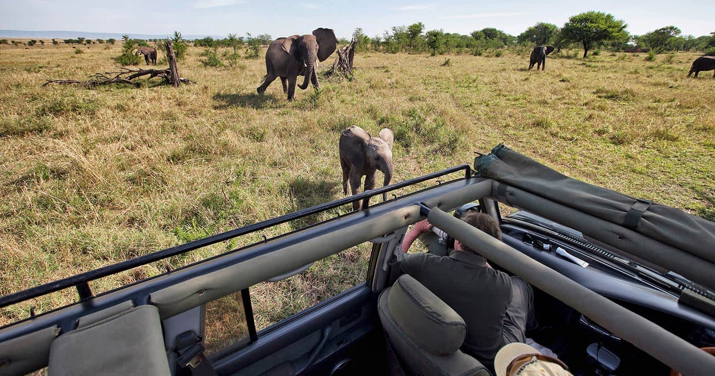 Game drives in Serengeti