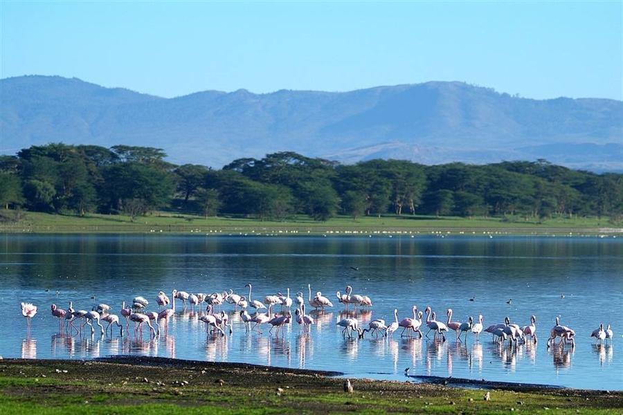 Lake Manyara