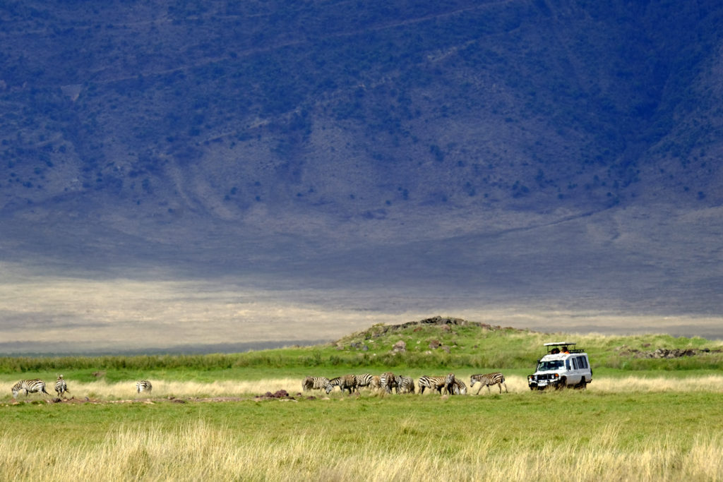 Ngorongoro Conservation Area