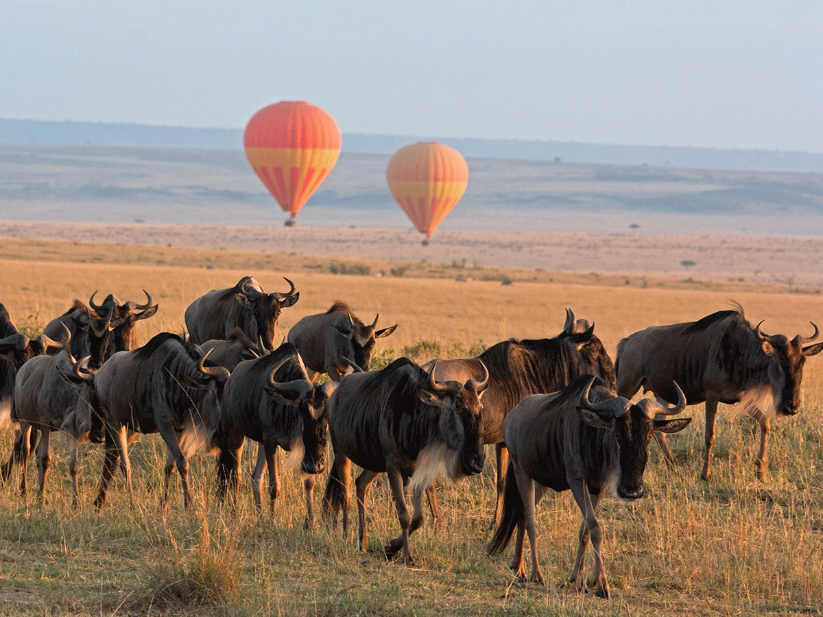 Serengeti National Park