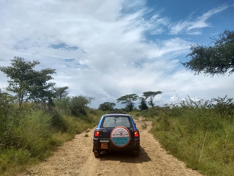 Right Car Rental for Your Uganda Safari