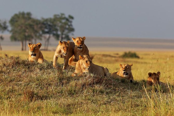 Ruaha National Park